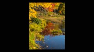 Fall Colors Reflection Witch Hole Pond